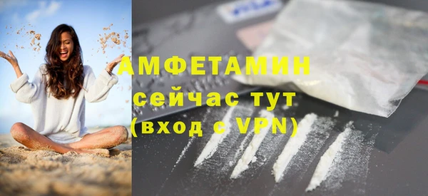 мдпв Краснослободск
