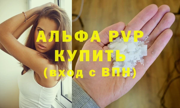 мдпв Краснослободск