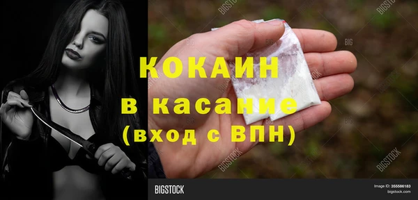 мдпв Краснослободск