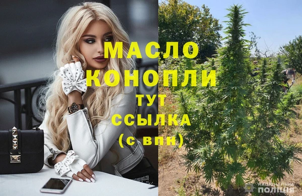 мдпв Краснослободск