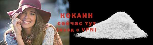мдпв Краснослободск