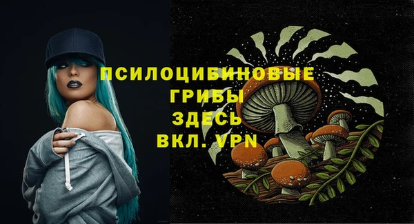кристаллы Коряжма
