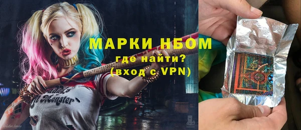 мдпв Краснослободск