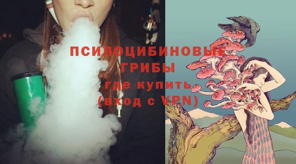 2c-b Корсаков