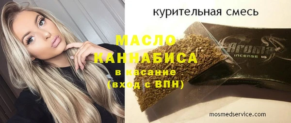 мдпв Краснослободск
