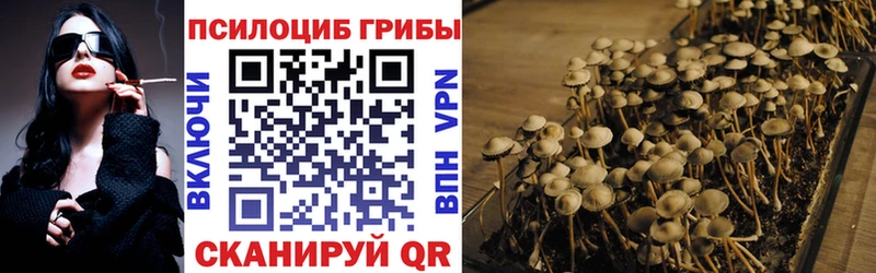 Галлюциногенные грибы Cubensis  как найти наркотики  Лабытнанги 