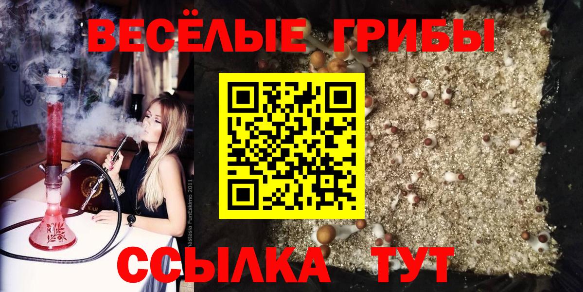 Лабытнанги  Псилоцибиновые грибы Psilocybine cubensis  Вход с VPN 