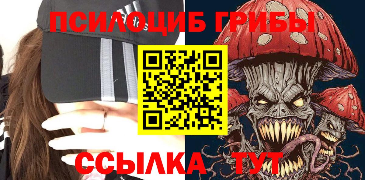 Псилоцибиновые грибы Psilocybine cubensis Лабытнанги